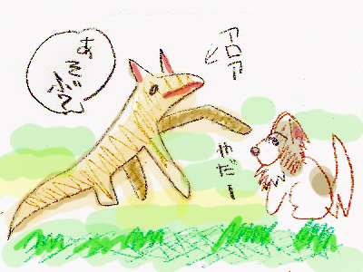 ²Ö»þ·×¤«¤é¥Û¡¼¥à¤Ø¨