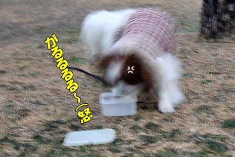 ½éÀã¤ä¡¦¡¦¡¦©