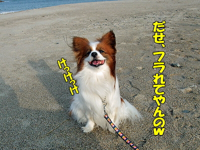 ¤ª»Ð¤µ¤ó¤Î»È¤ï¤Ê¤¤»Ø¤Ï¤É¡Á¤ì¡©27