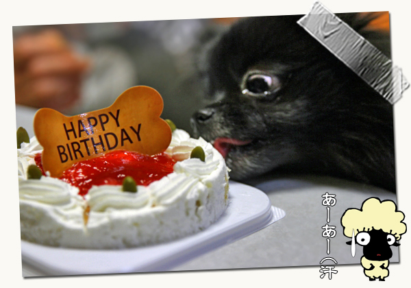 Happy 1st Birthday,LOUNiE ¡ú¡ù¡ú¡¡10