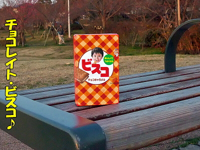¥Á¥ç¥³¥ì¥¤¥È¡¦¥Ó¥¹¥³¢ö¥