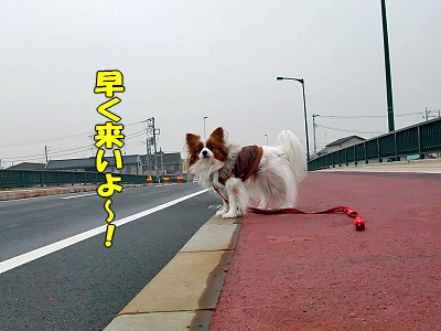 ¥µ¥¶¥Ó¡¼¡ú´Ø½ê¢