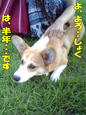 ¤Ç¤«¡ª¤