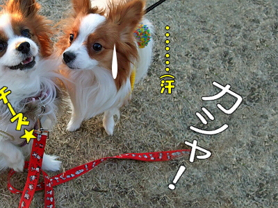 ¼ê¤¬¤«¤¸¤«¤ó¤Ç¡Ê´À©