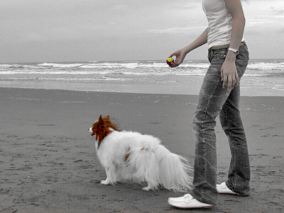 ¤ª¤«¤²¤µ¤Þ¤Ç¡¦¡¦¡¦¡¦¨