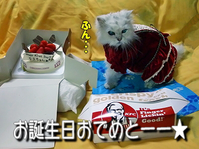 Happy Birthday HERMES¡¡2008¦