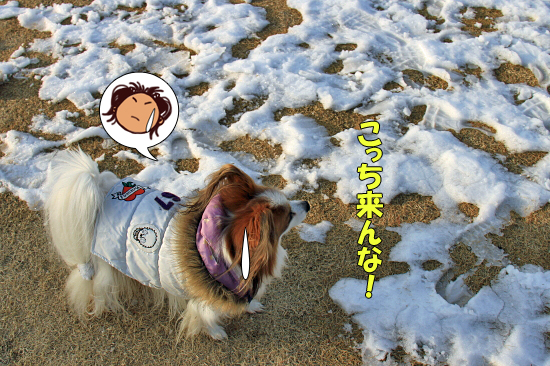 ÂçÀã·ÙÊó¡õ¥½¥Á¡¦¥ª¥ê¥ó¥Ô¥Ã¥¯³«Ëë´ë²è¡©¡¡03
