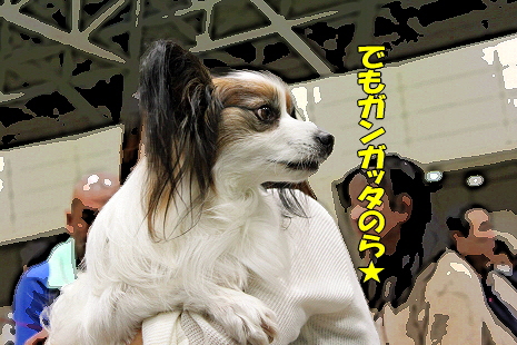 ¥¬¥ó¥¬¥ì¡ú¥è¡¼¥¡¼¥º´