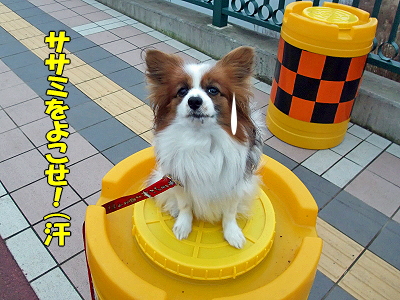 ¥µ¥¶¥Ó¡¼¡ú´Ø½ê«