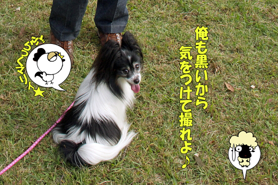 ¡Ú¥µ¥¶¥ª¥Õ¡¦2014¡Û¡ú¤½¤Î2¡¡µð¿ÍVSºå¿À¡¡20