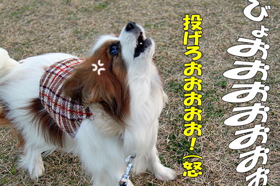 ÆîÉ÷Âз衡06