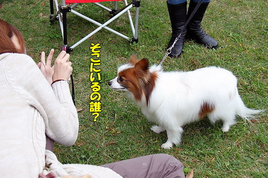 ¡Ú¥µ¥¶¥ª¥Õ2010¡Û¡¡¤½¤Î£³?