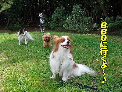 GWËëÄ¥¥ª¥Õ¡Ê³¤É͸ø±àÊÔ¡Ë«