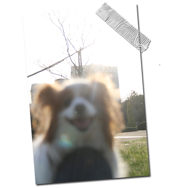 ºòÆü¤Î¤³¤È¡¡05