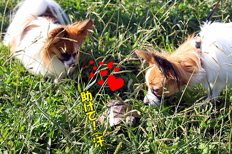 ½©¤Î¥ª¥Õ²ñ¡¡¤½¤Î£´¨