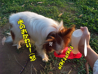 ¤ª¤«¤ï¤ê¡ú¯
