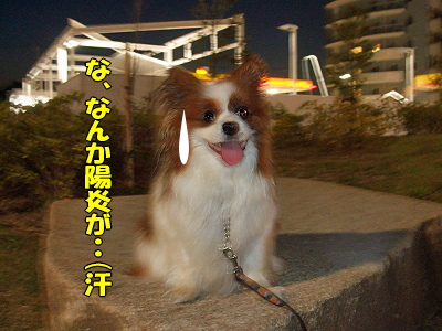 ¥é¥Ó¥¿¥¤¥à¢ö¡Ê¸åÊÔ¡Ë21