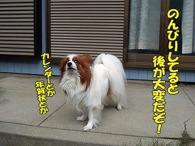 ½àÈ÷Ëüü¡¦¡¦¡¦¥