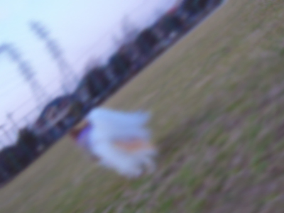 ¤Õ¤¿¤¿¤Ó¶¯É÷¡¦¡¦¡¦¬