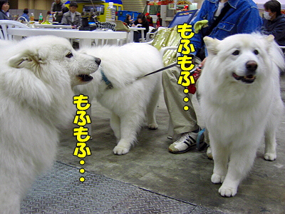 ¥¢¥¸¥¢¥¤¥ó¥¿¡¼2008¡ÊÁ°Êӡ˳