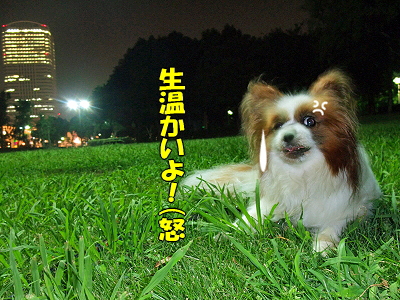 ¾ø¤·½ë¤¤Ìë©