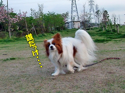 ¤ß¤ó¤Ê¤ª¤á¤Ç¤È¤¦¡úª