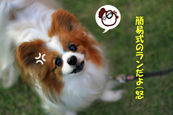¤³¤Î¾ì½ê¤Ï²¿¤ÎÁ°¡©¡¡07