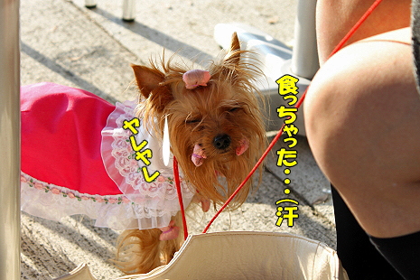 ららぽでキットカット★��