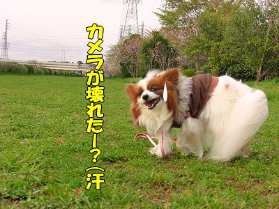µÙºÜ¡©¤Î¤ªÃΤ餻¡¦¡¦¡¦orz?