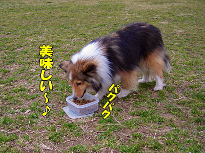 郎°ìÈÖ¡¦¡¦¡¦¡¦ª