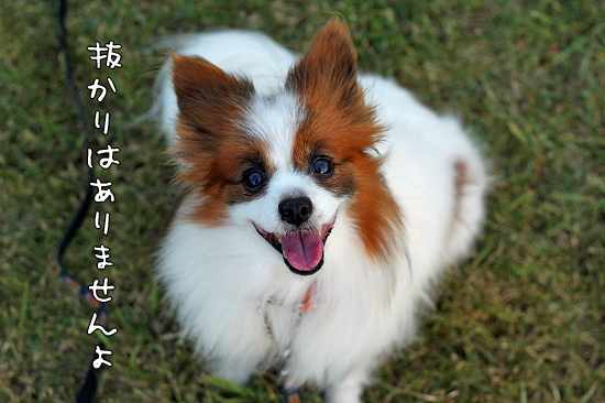 ÌÔ½ëÆü¤Ç¤â¡¦¡¦¡¦¢ö¬