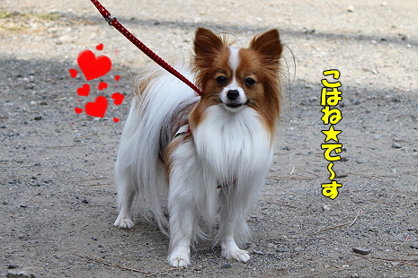 ¤µ¤¤Ã¤Ä¤¡¤ó¥ª¥Õ¢ö§