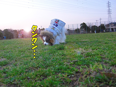 µÇ°Èê¤Î̾Á°¤Ï¡¦¡¦¡¦¡©ª