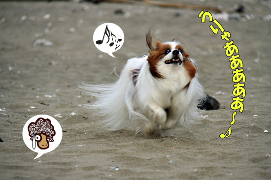 ¥µ¥¶¥Ó¡¼¡¢º½ÉͤËΩ¤Ä¡ª¡ª¡¡03