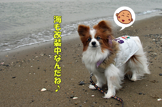 ¤ª»¶Êâ¥ì¥Ó¥å¡¼¡Ê¸åÊÓ¡Ë¡¡18