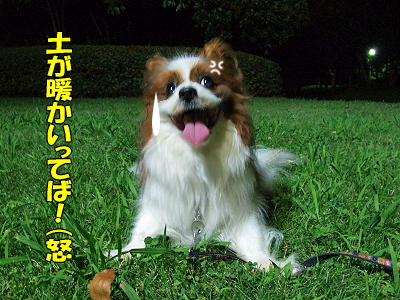 ¾ø¤·½ë¤¤Ìë¦