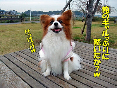 ºòǯ¤è¤ê¤â¡¦¡¦¡¦§