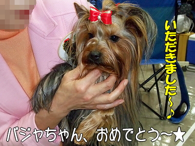 ¥¢¥¸¥¢¥¤¥ó¥¿¡¼2009¡ÊÃæÊԡ˲