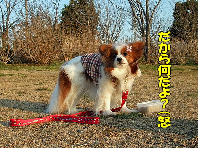 ¥À¥á¸¤¤·¤Ä¤±Áª¼ê¸¢¡ú§
