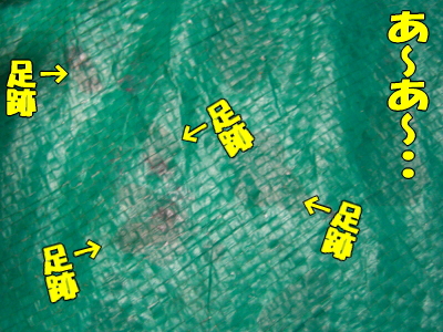 ¥¹¥¿¥ó¥×ºî¤ê¬
