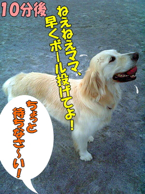 £±£°Ê¬¸å