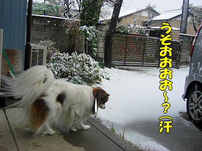 Ä«¡¢µ¯¤¤¿¤é¡¦¡¦¡¦¡¦¢