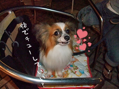 ¥Ó¥Ó¥Ó²ñ¯