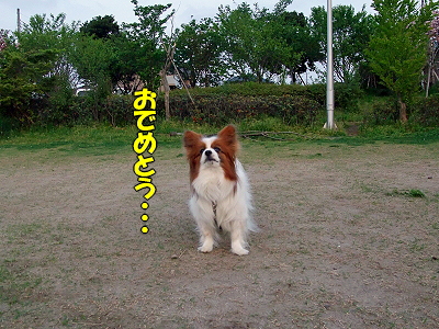 ¤ß¤ó¤Ê¤ª¤á¤Ç¤È¤¦¡ú¦