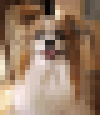 ¡Ú¥µ¥¶¥ª¥Õ2011¡ÛľÀþ¾ðÊ󡦡¦¡¦(Ž¥¢ÏŽ¥)ŽÉ¡¡04