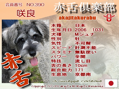 390-sakira-2007