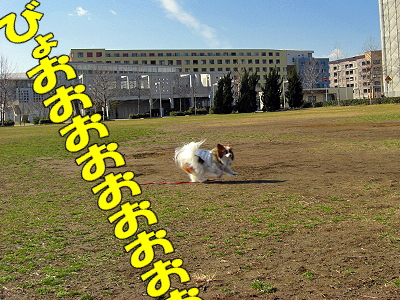 ¤Þ¤À¤Þ¤À¶¯É÷¡£¡£orz£