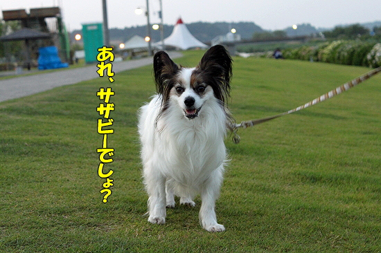 ¤¿¤Ö¤ó¡¢¥Ë¥³¥é¥¹¡¦¡¦¡¦¡ú´