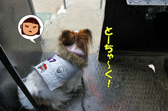 ¡Ö¥µ¥¶¥Ó¡¼µ¥¼Ö¤Ë¾è¤ë¡×¤Î´¬¡¡16