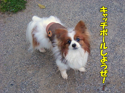 ¤¯¤Ä¤í¤²¤ë¾ì½ê¡¦¡¦¡¦£